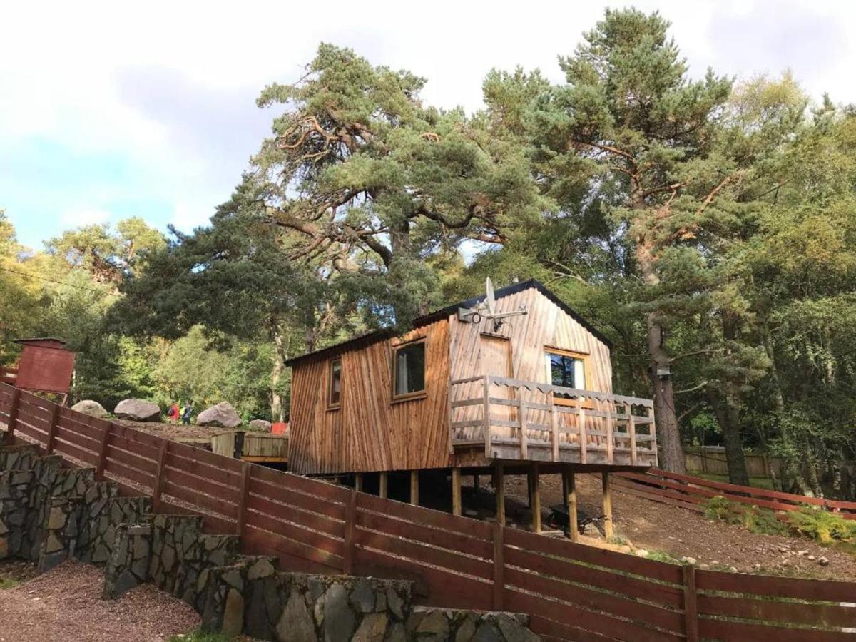 Pine Marten Bar Glenmore Treehouse Aviemore Zewnętrze zdjęcie