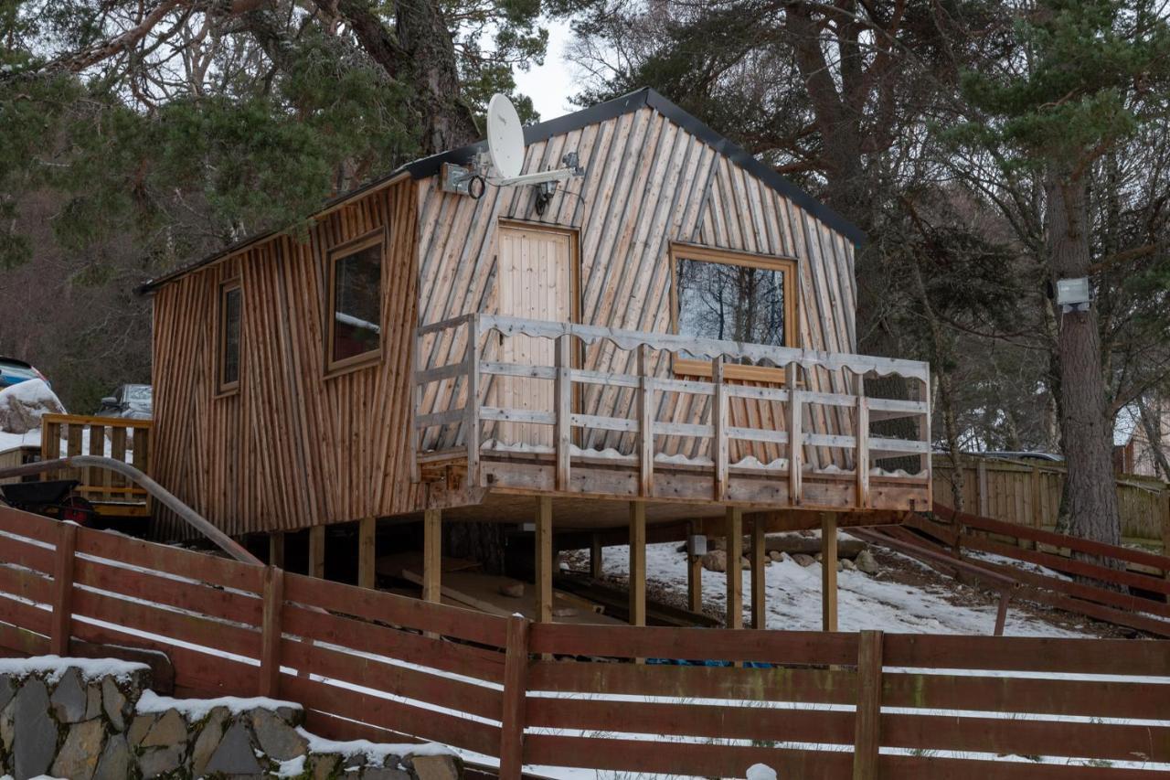 Pine Marten Bar Glenmore Treehouse Aviemore Zewnętrze zdjęcie