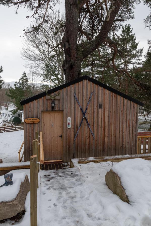 Pine Marten Bar Glenmore Treehouse Aviemore Zewnętrze zdjęcie